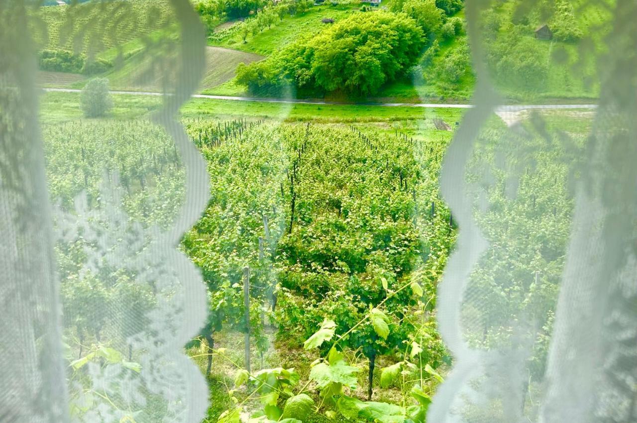 Wine Paradise Sveti Ivan Zelina Exteriör bild