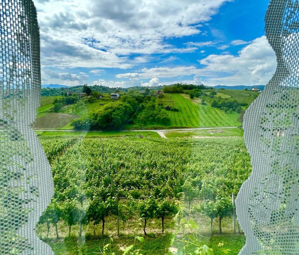 Wine Paradise Sveti Ivan Zelina Exteriör bild