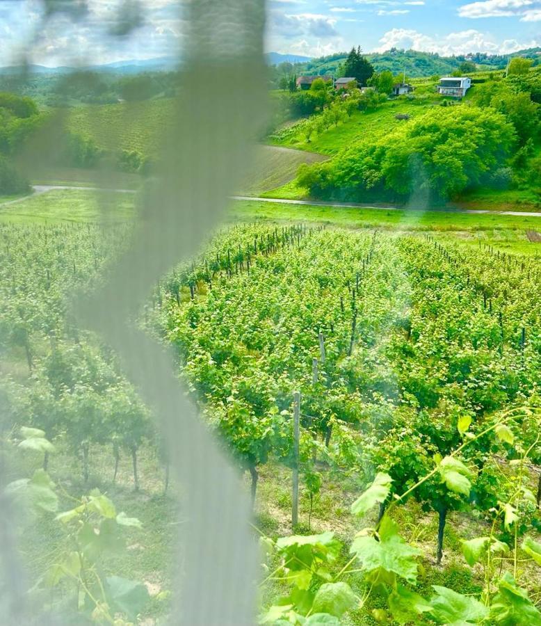 Wine Paradise Sveti Ivan Zelina Exteriör bild