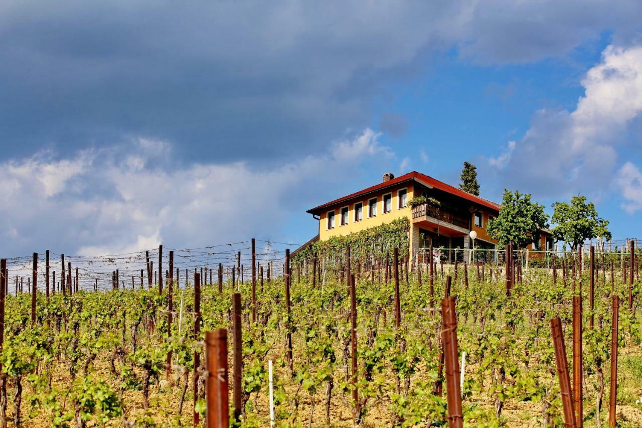 Wine Paradise Sveti Ivan Zelina Exteriör bild