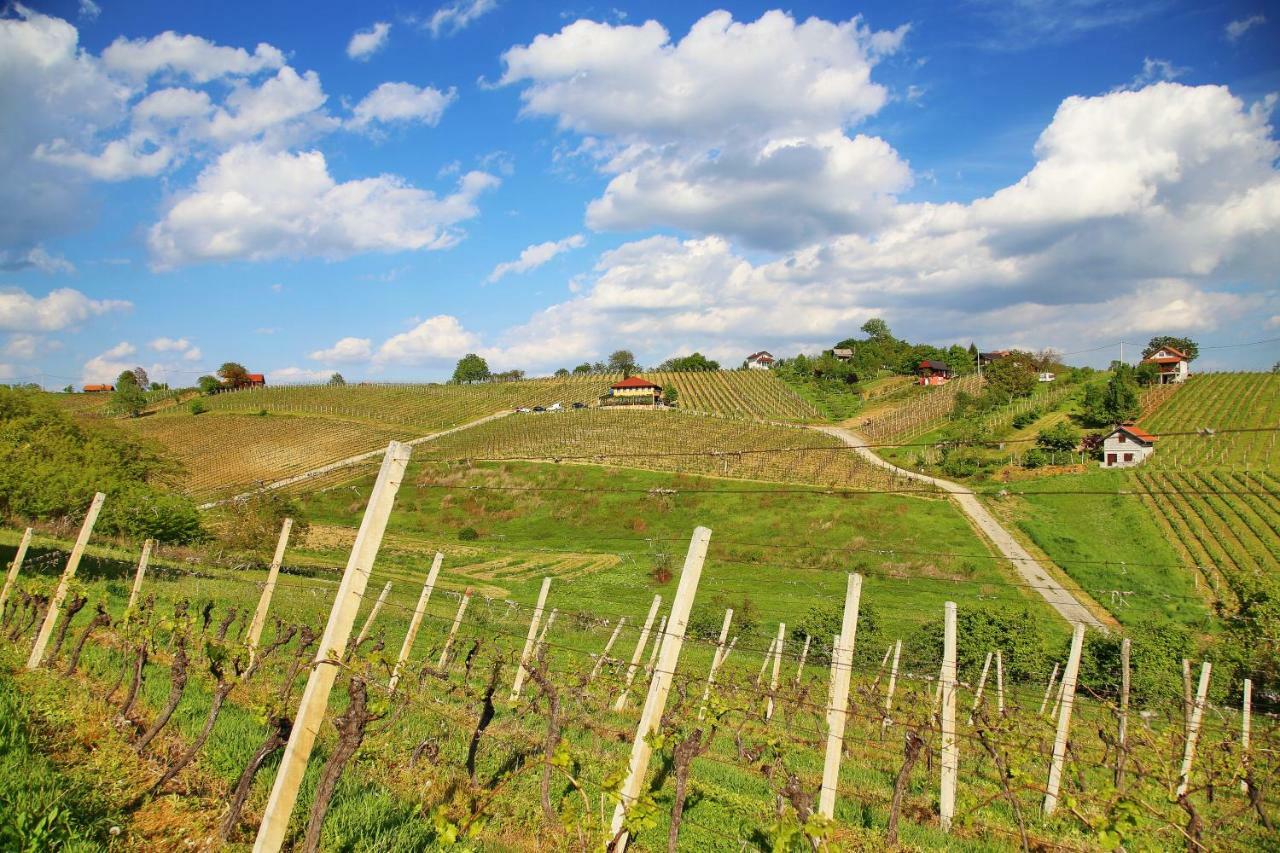 Wine Paradise Sveti Ivan Zelina Exteriör bild