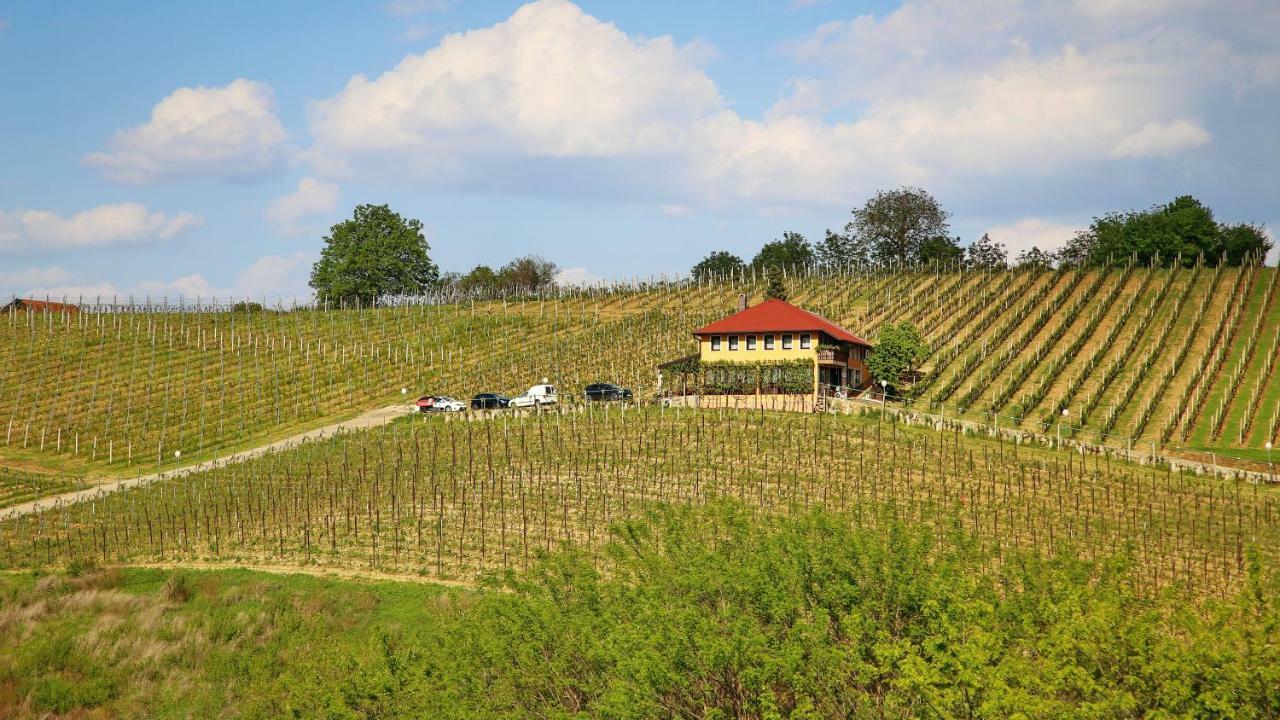 Wine Paradise Sveti Ivan Zelina Exteriör bild